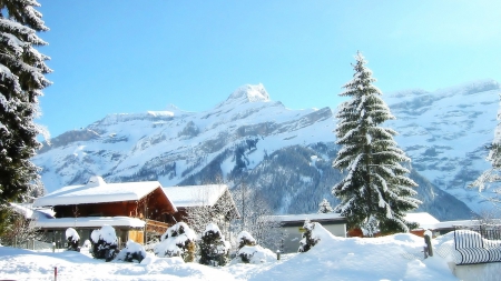 chalet on a sunny winter day - trees, winter, chalets, sunshine, mountains