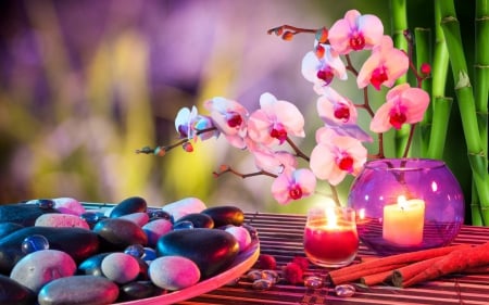 Orchid - candle, orchid, spa, flowers, relax