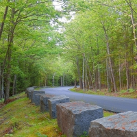 Acadia National Park