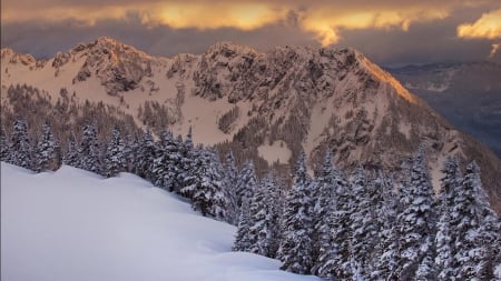 beautiful mountain landscape in winter - forest, mountains, meadow, clouds