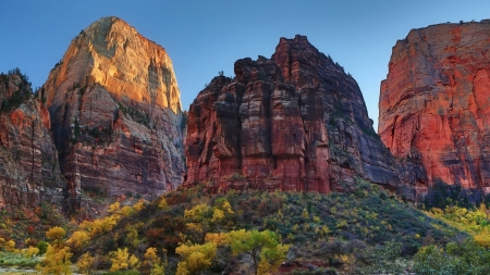 cliffs in zion national park in utah - brushes, cliffs, sunlight, canyon