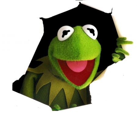 Charismatic Kermit - Muppet, colorful, green, bright, Kermit, puppet, frog