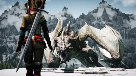 Skyrim - dragon, girl, skyrim, snow