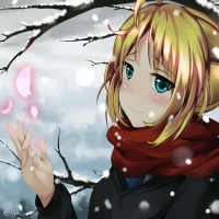 Fate Stay Snow