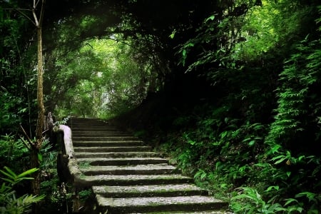 Path To Expectative - trees, beautiful, green, stairway, park, foliage