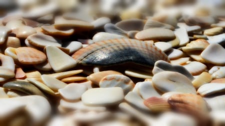 sea stones - abstract, sea, wp, stones