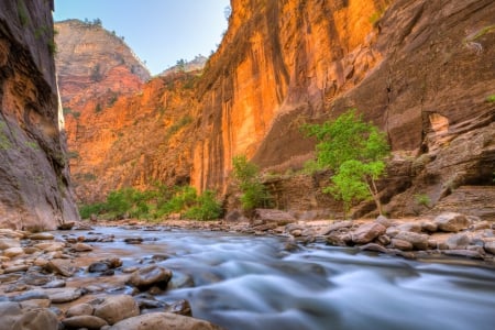 Zion National Park - usa, river, landscape, mountains, stones