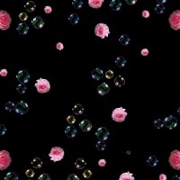 Roses and Bubbles