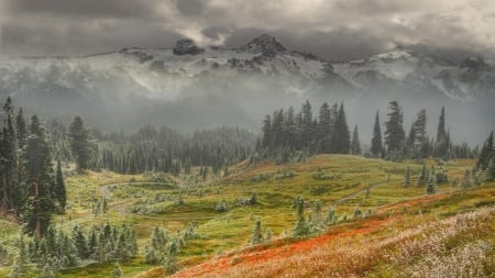 awesome foggy landscape hdr - mountains, meadow, clouds, fog, trees, hdr