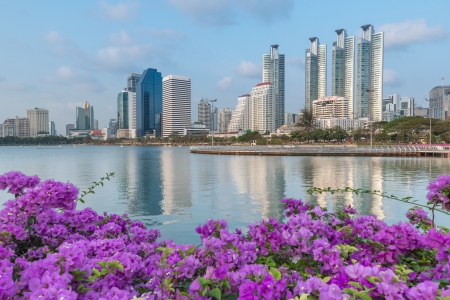 * THAILAND - modern buildings in Bangkok * - flowers, flower, nature, sea