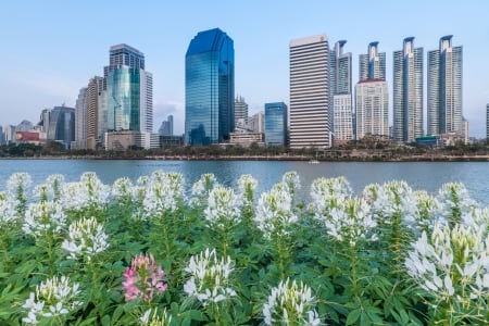 * THAILAND -  modern buildings in Bangkok * - flowers, skyscrapers, nature, sea