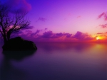 Misty Purple Sunset