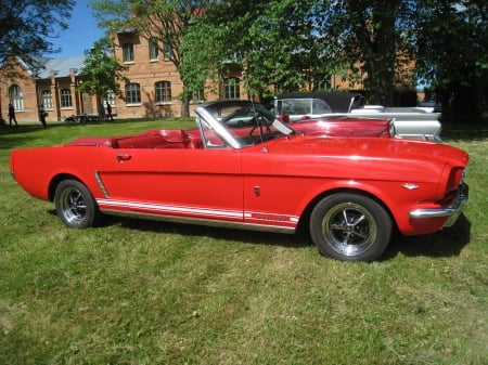 Ford Mustang - trees, ford, summer, sweden, car, red, mustang, grass, motorshow, hous