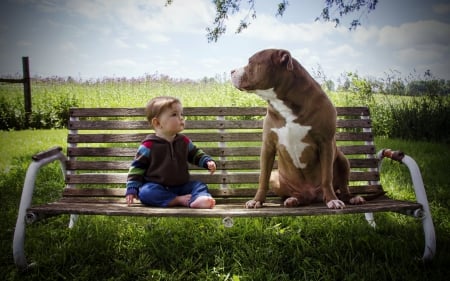 * FRIENDS * - dog, dogs, animal, child, ani als