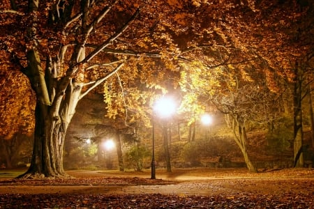 â™¥Night Parkâ™¥ - fall, autumn, park, night, lights