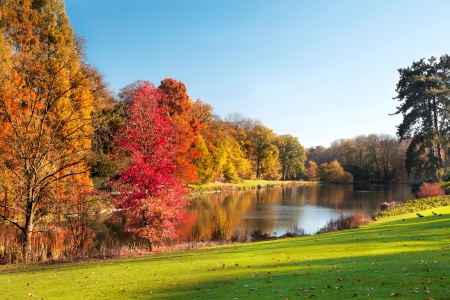 â™¥Autumn Parkâ™¥ - nature, autumn, lake, landscape, park, fall season