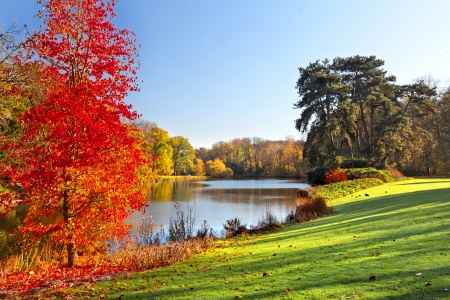 â™¥Autumn Parkâ™¥ - nature, autumn, fall, lake, landscape, park