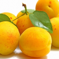 Apricots