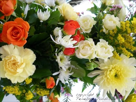 Different colors of flowers - orange, yellow, roses, red