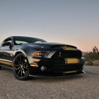 ford mustang shelby anniversary super snake gt 500