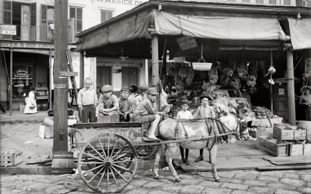 vintage french market in black and white - street, kids, cart, domkey, black and white, city, market