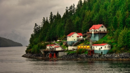 lovely houses on a lakeside - lae, forest, hill, houses, shore