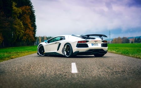 Lamborghini - drive, wheel, car, lamborghini