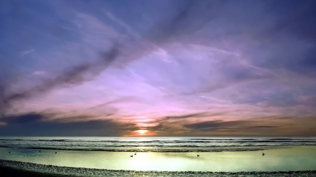 gorgeous colorful beachscape - horizon, beach, ducks, sunset, colors, sea