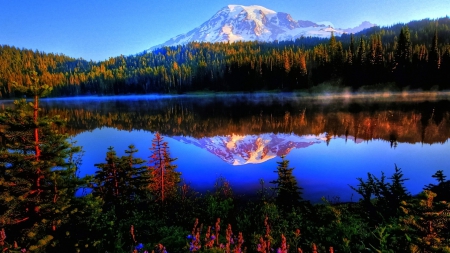 superb majestic mountain reflection - lake, forest, mountain, snow, reflectiom