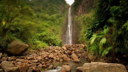 tall cliff waterfall - tall, forest, cliff, stream, waterfall, rocks