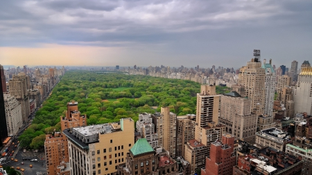 central park in manhattan hdr - skyscrapers, city, trees, park, hdr, overcast