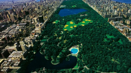 panorama of central park nyc - lake, trees, panorama, city, park