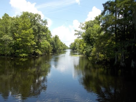 Beautiful Swamp - nature, lakes, trees, beautiful, water, rivers, swamp