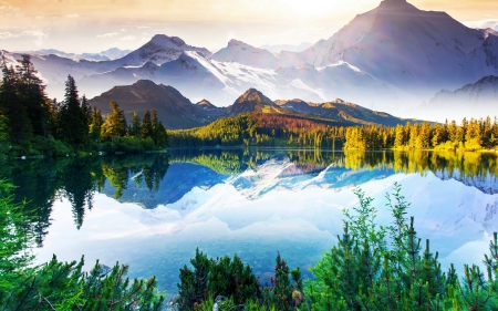 Mountain - Mountain, nature, tree, sky