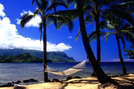 Afternoon Nap, Kauai, Hawaii - clouds, trees, palms, hammock, sea, sand