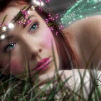 Fairy