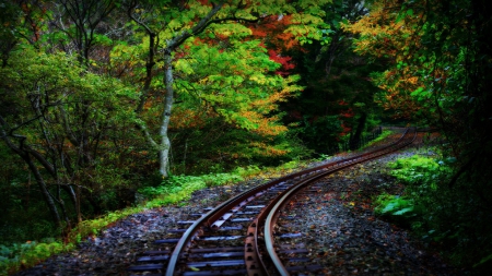 one way - wp, railroad, forest, nature