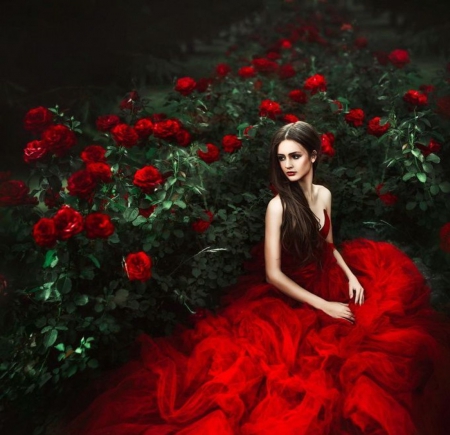 @ - flowers, nature, beauty, princess, red passion