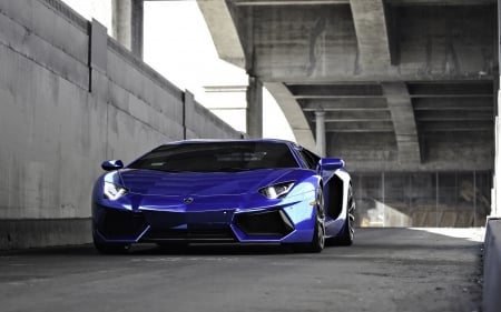 Lamborghini - drive, wheel, car, lamborghini