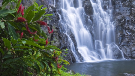 waterfalls in forest - nature, water, waterfalls, forests