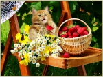 Who took the strawberry from the basket? :)