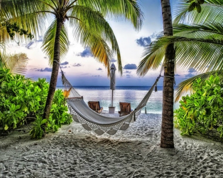 ~ A Piece Of Heaven ~ - palm trees, shore, sea, hammock