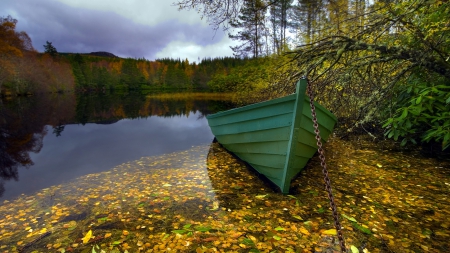 At the Riverside - sky, water, clouds, river, trees, nature