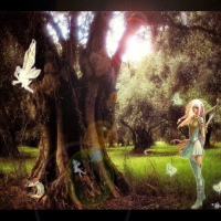 ~ Land Of Fairies ~