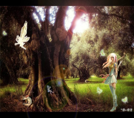 ~ Land Of Fairies ~ - wings, fairies, elf, trees