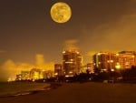 moon over miami