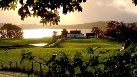 lovely lakeside farm - sheep, lake, farm, sunset, pasture