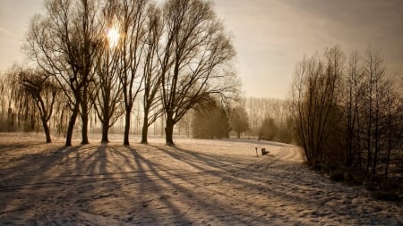 a hazy winter day in the park - path, trees, winter, bench, shadows, sunshine, park