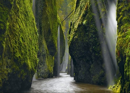 Columbia River Gorge, Oregon - river, beautiful, sun light, green, moss, cliffs, forest, canyon