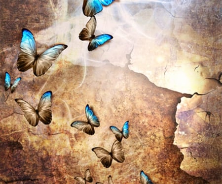 Browns Got The Blues - abstract, colorful, blue, bright, brown, butterflies, background